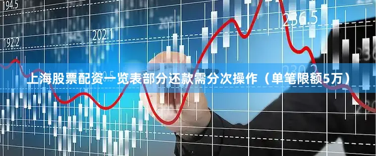 上海股票配资一览表部分还款需分次操作（单笔限额5万）