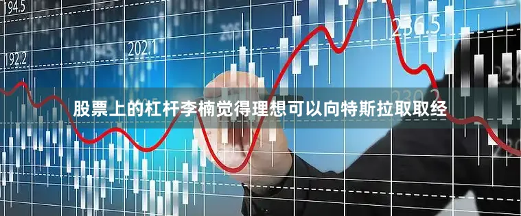 股票上的杠杆李楠觉得理想可以向特斯拉取取经