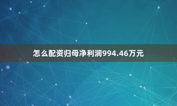 怎么配资归母净利润994.46万元