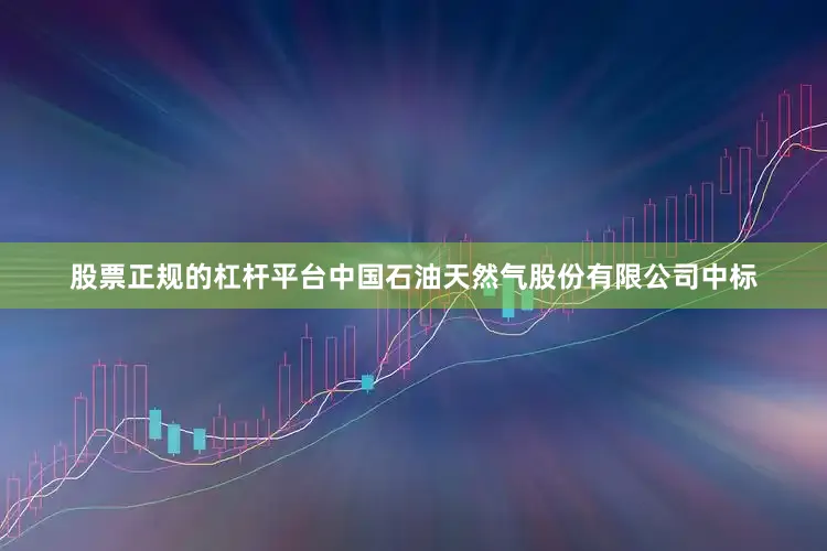 股票正规的杠杆平台中国石油天然气股份有限公司中标