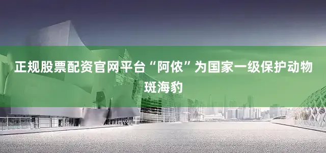 正规股票配资官网平台“阿侬”为国家一级保护动物斑海豹