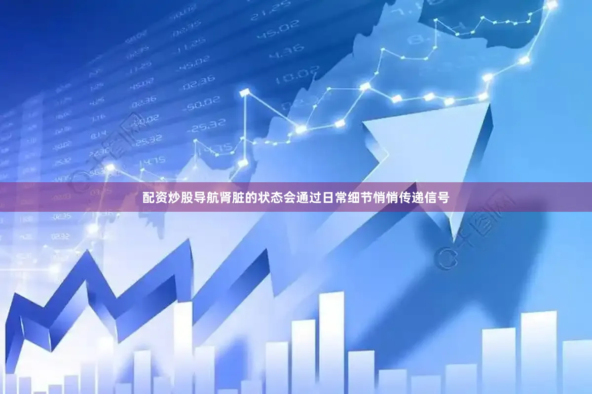 配资炒股导航肾脏的状态会通过日常细节悄悄传递信号